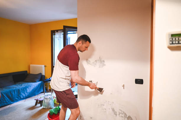 Best Best Mold Removal Companies  in Pleasantville, IA